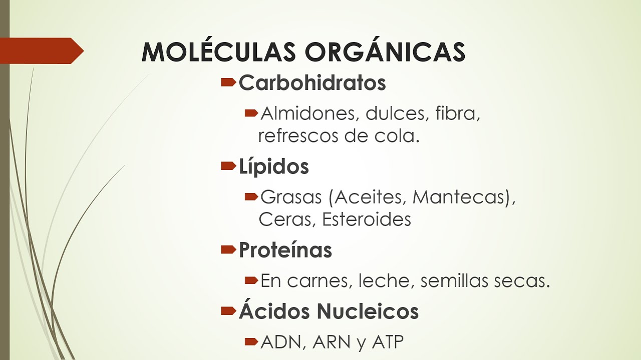 Moléculas Orgánicas primera parte
