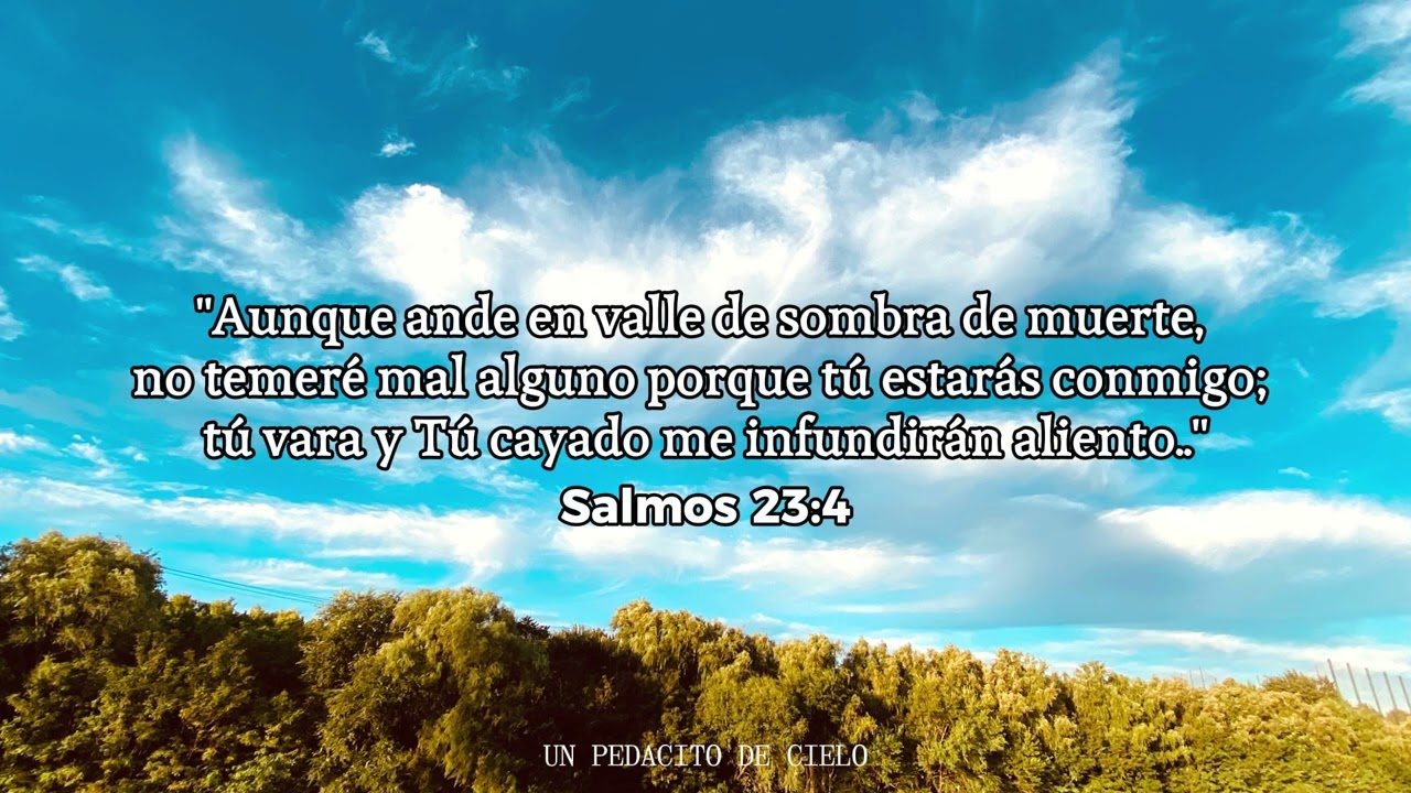 21 Días de Oración – Peniel | Día 2: Oración por Salud y Sanidad