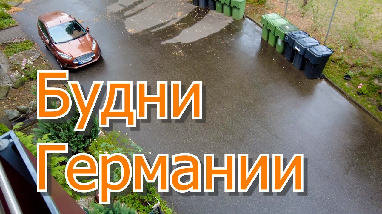 Как быстро убрать листву и сдать бутылки?