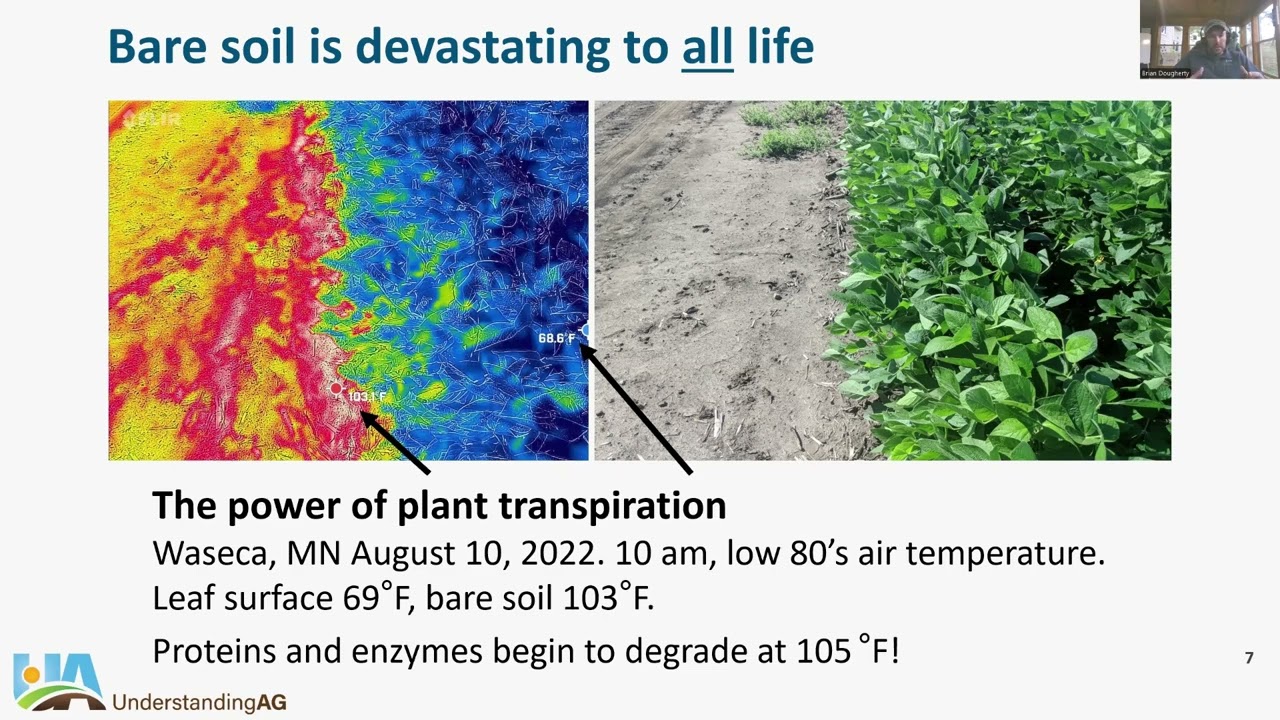 Biological Approaches to Nutrient Management