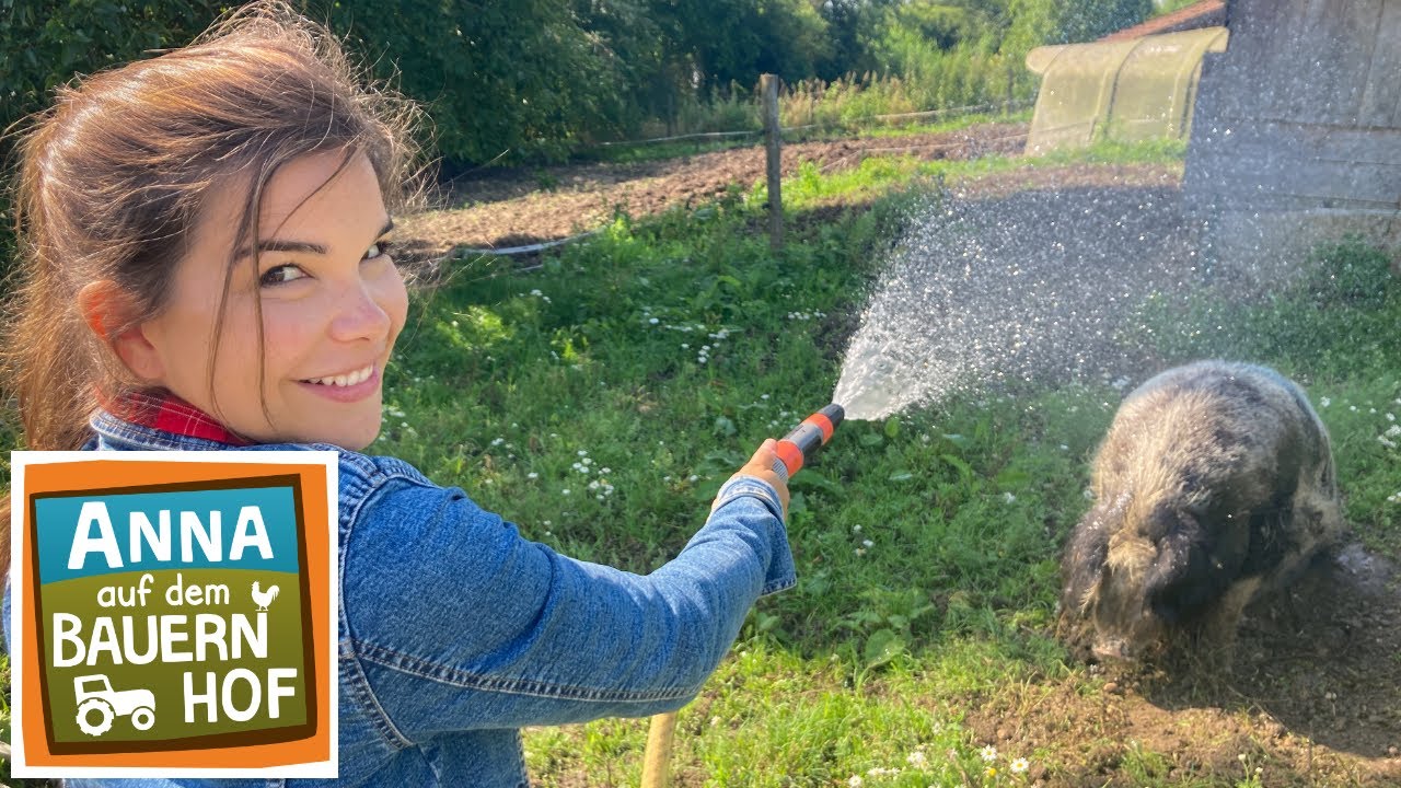 Die bunte Ferkelbande | Anna auf dem Bauernhof | #3