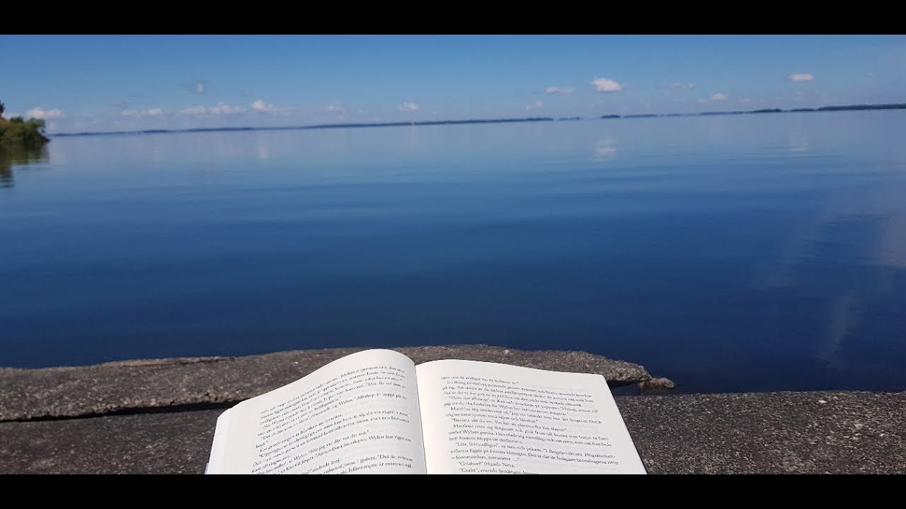 Läsvlogg för The Reading Rush