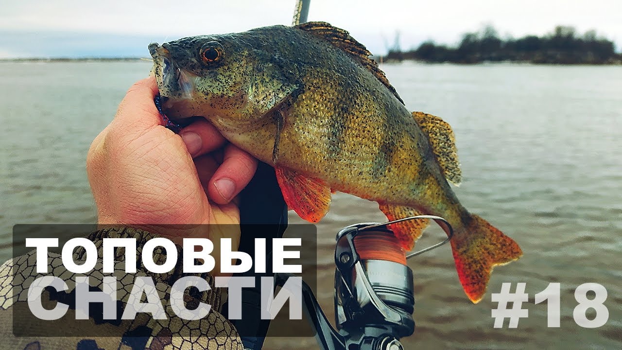 Zander Game XT Limited + Shimano TP 4000PG. + CADENCE PRIMO TRAVEL. Ловля окуня. Рыбалка на Волге.