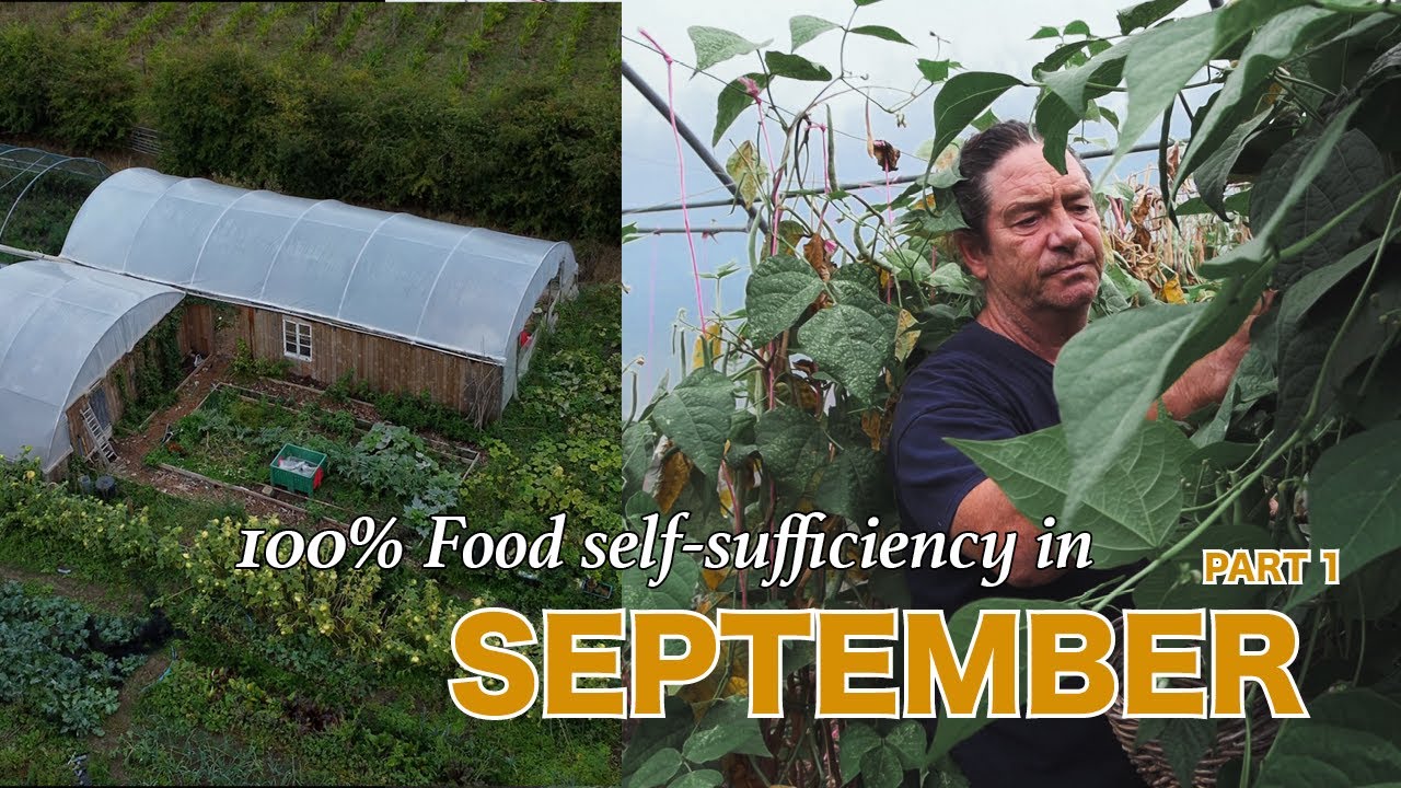 Surviving food self-sufficiency | Episode 1