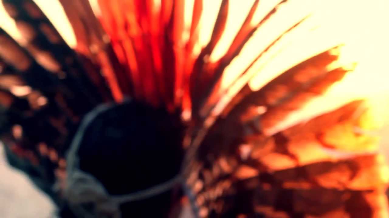 Shaneihu Yawanawá - KÊNE KÊRANE - Video CLIPE Oficial - CD Kanarô