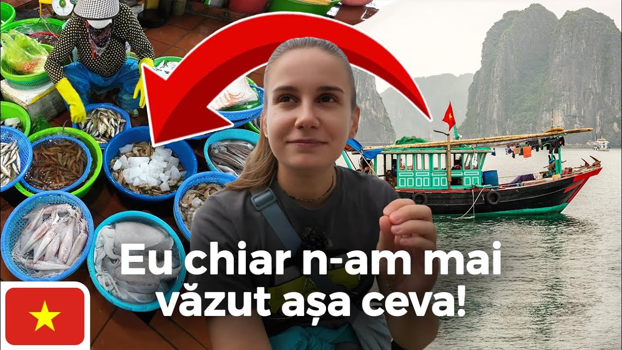 🇻🇳 Cu ce te poate surprinde HA LONG CITY, dincolo de croazierele în Golful Ha Long!?