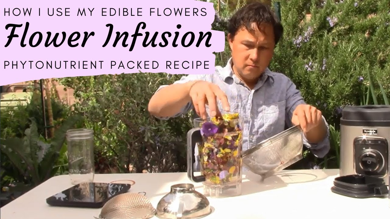 How I Eat My Edible Flowers to Make a Nutritious Flower Infusion Drink Recipe