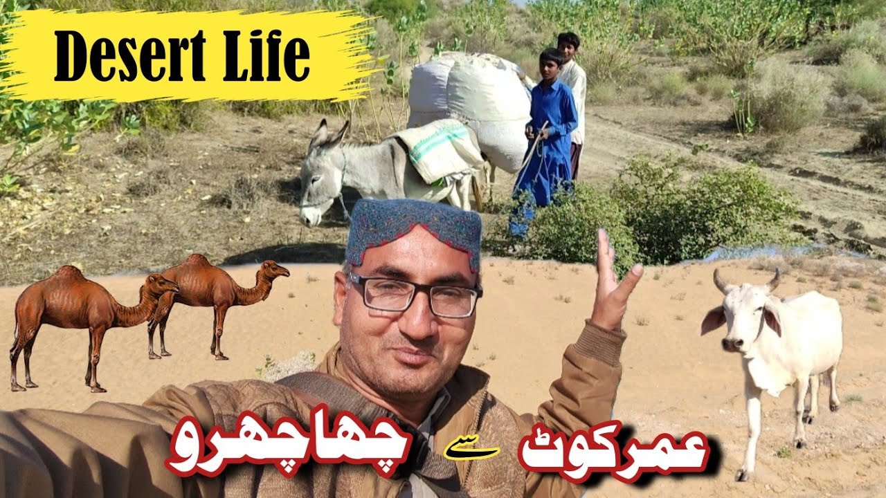 Chachro city | Thar desert | motorcycle trip in desert