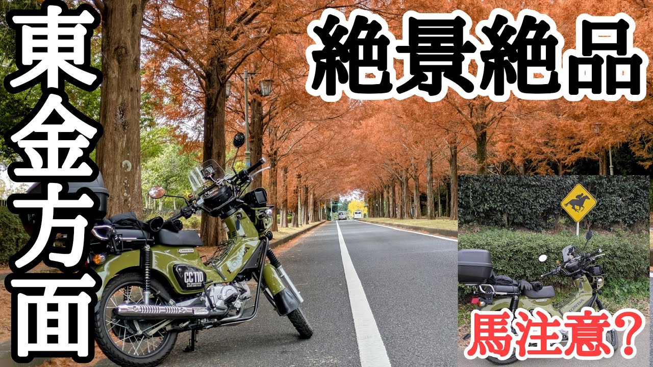 【東金.八街方面】馬注意！？絶景！絶品！廃校！必見ツーリング【クロスカブ】
