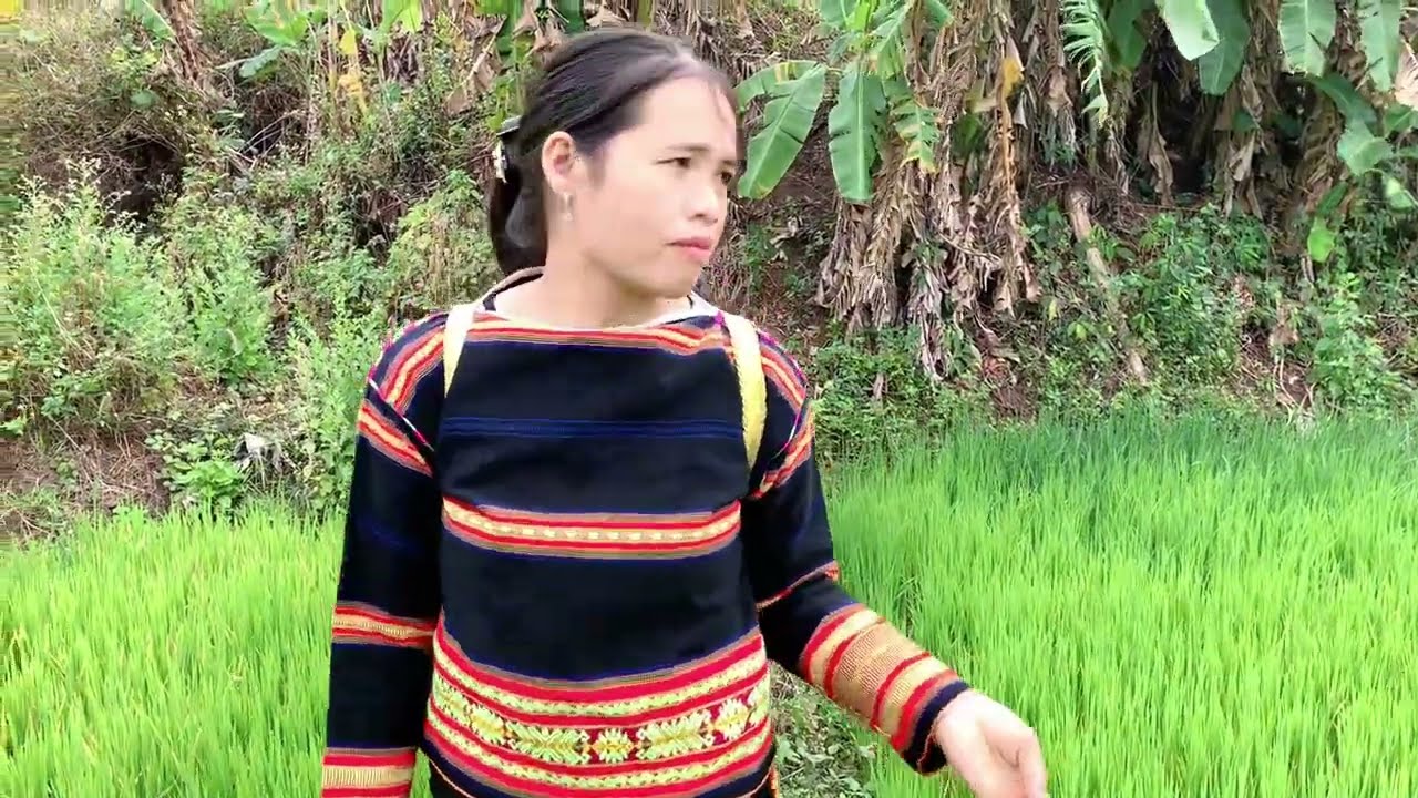 Hmư̆ Tơlơi Adoh Jrai - Tơdam Kâo Anai | Neh Grek @SIUNANPTP 