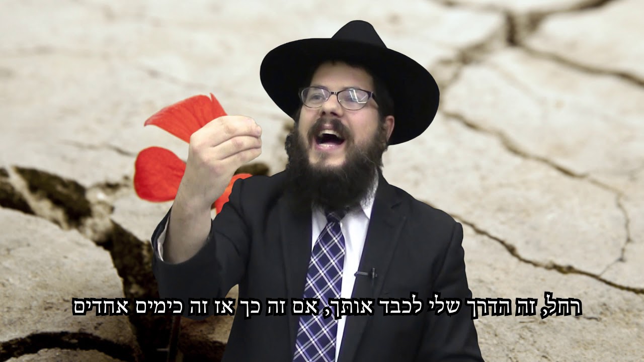 מהי אהבה אמיתית? הרב שניאור אשכנזי