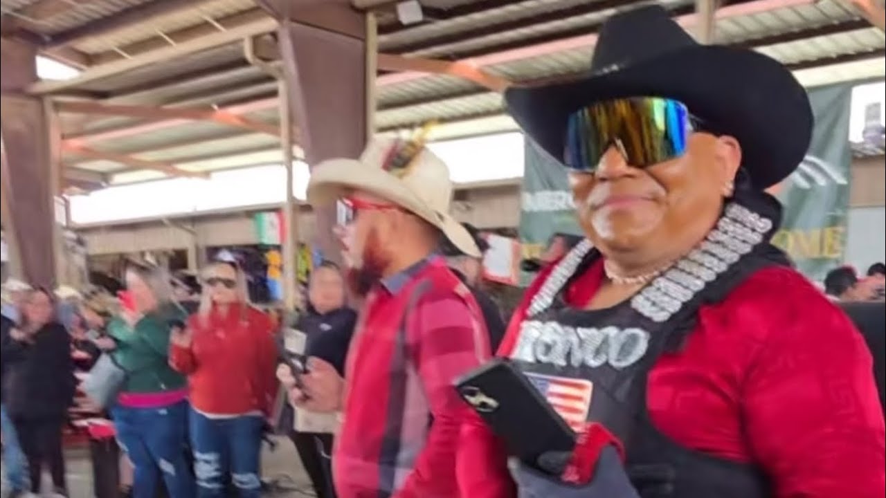  Bronco bailando en la pulga de álamo Texas 