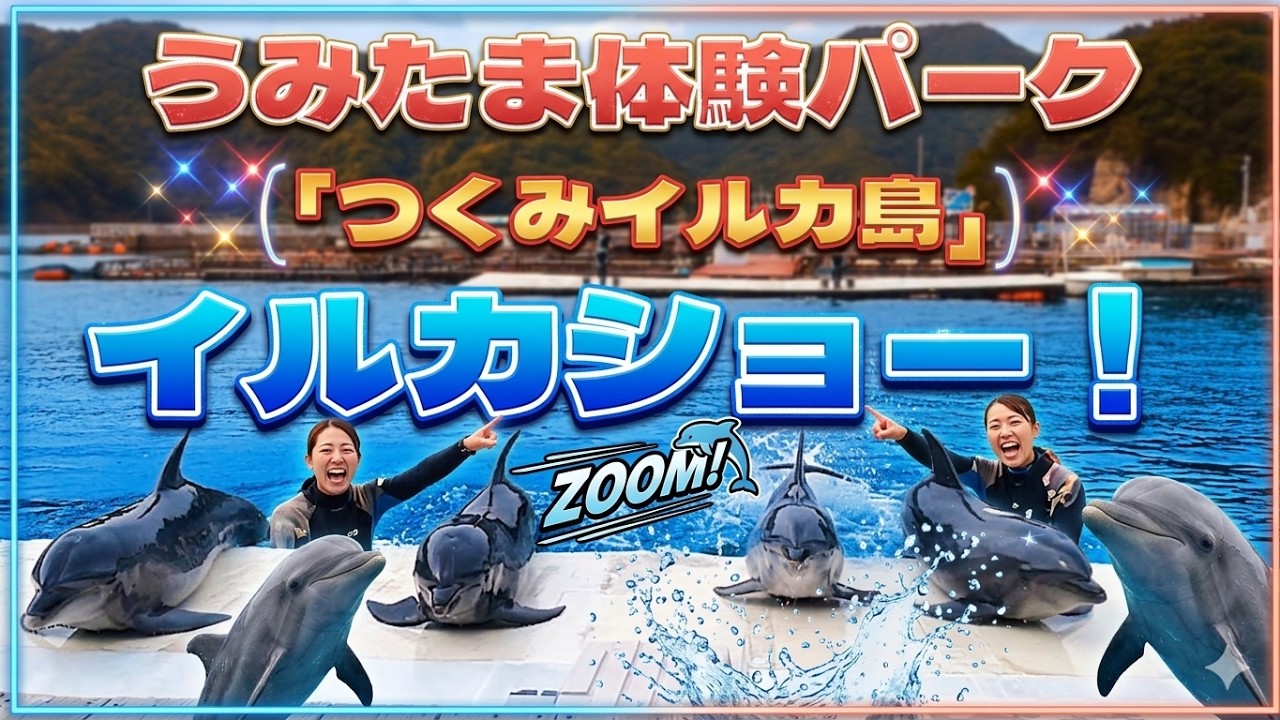 【完全版】 イルカのパフォーマンスショー 「つくみイルカ島」