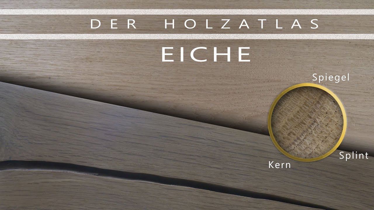 EICHE - Holzatlas für Möbelbau und Konstruktion - Wissen für Handwerker