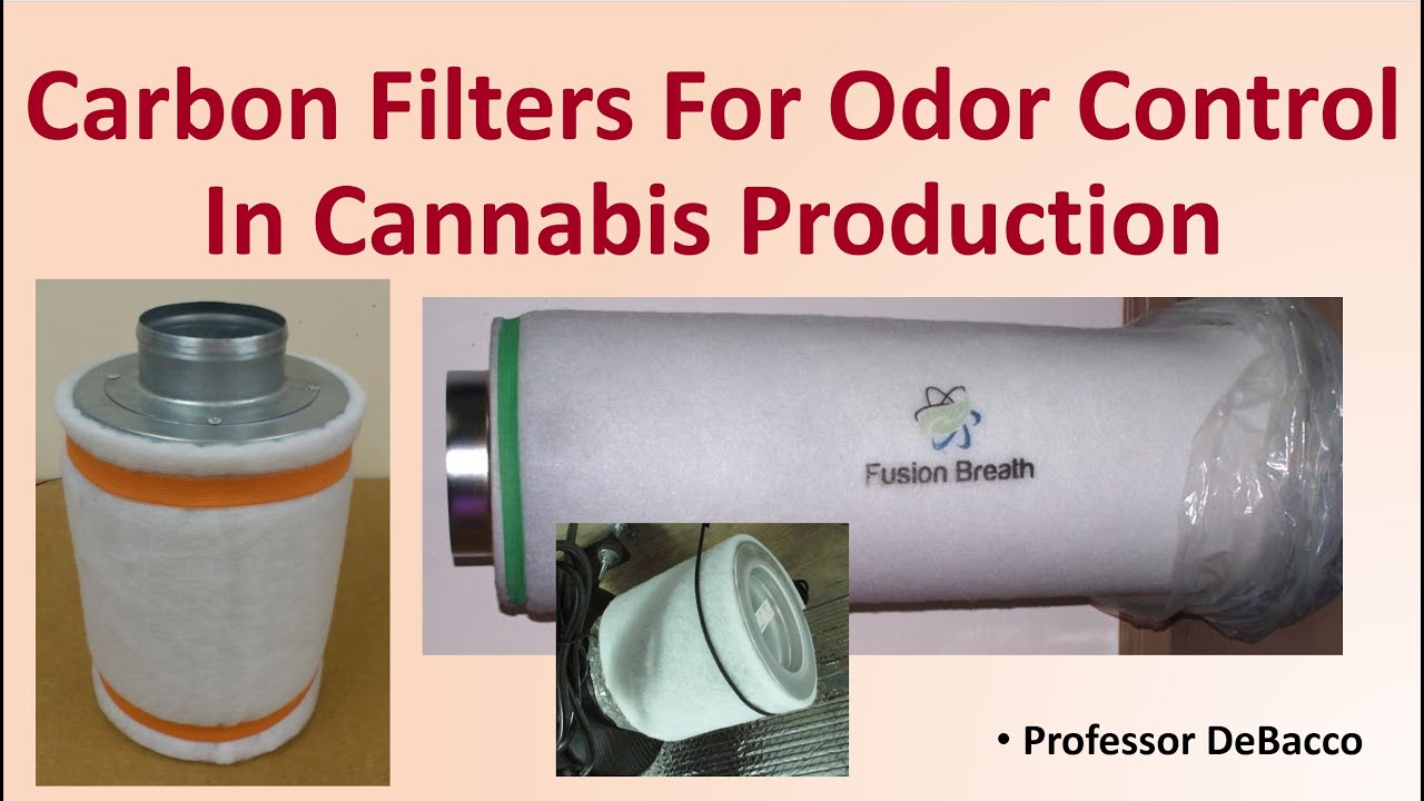 Carbon Filters For Odor Control In Cannabis Production