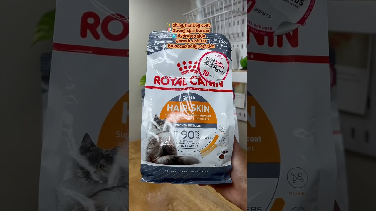 Royal canin hair and skin care #cats #royalcanin