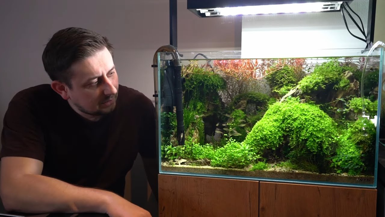 Jak stříhat akvarijní rostliny s Vladimírem Tomkem