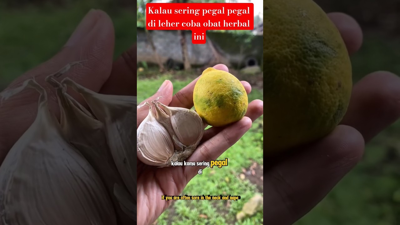 obat herbal