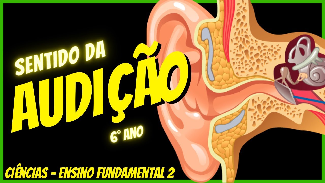 Sentido da audição - Sentidos humanos | Ciências 6°ano | Aula completa 2022