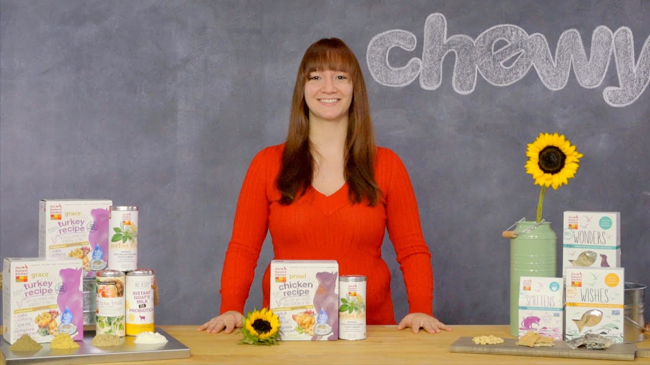The Honest Kitchen Dehydrated Cat Food and Treats | Chewy