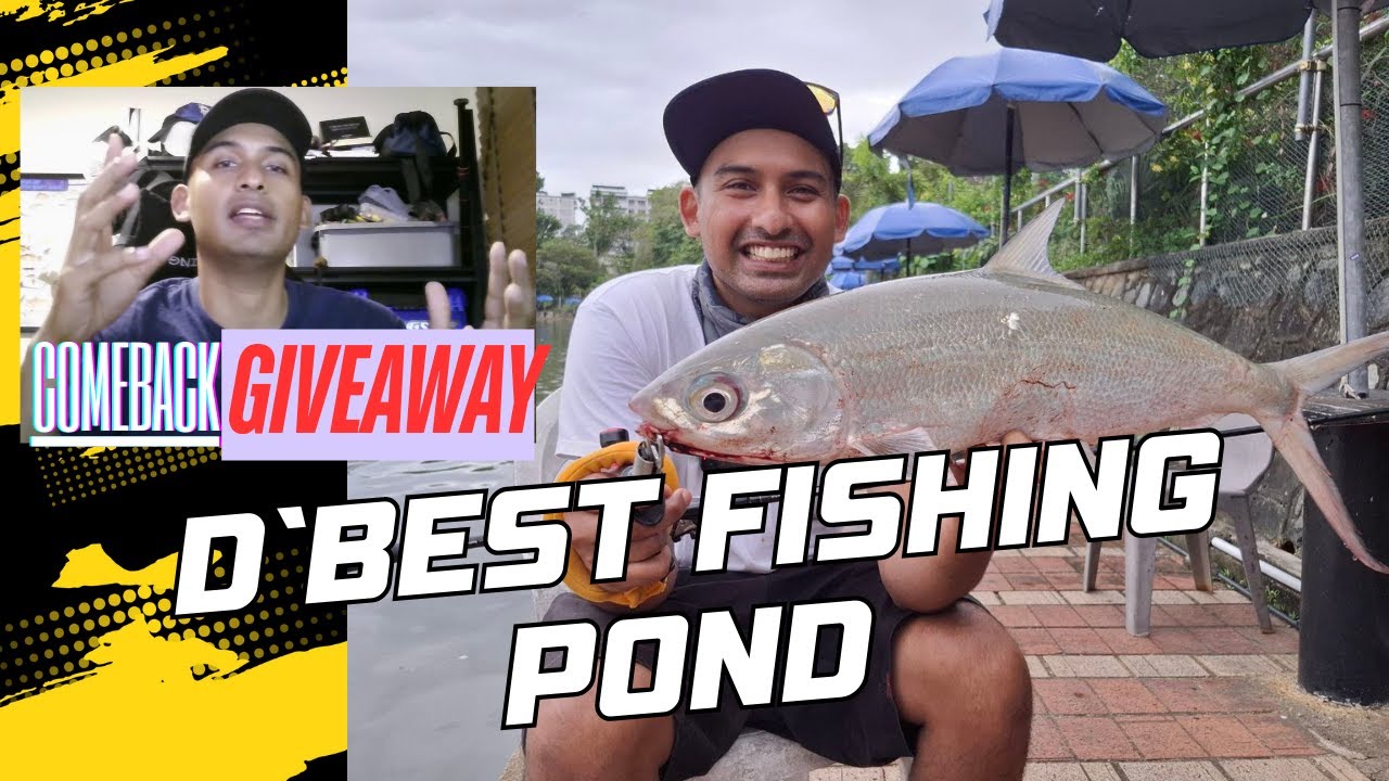 D'Best Pasir Ris Pond | Tips and Tricks to Catch Big Fishes | Singapore Fishing