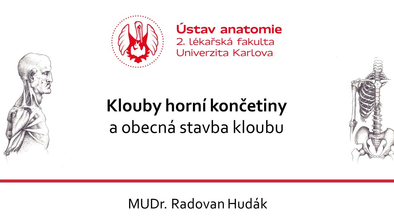 Klouby horn&iacute; končetiny