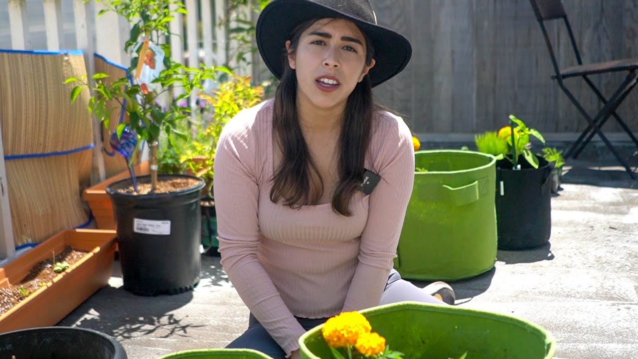 Urban Balcony Gardening in the City | San Francisco