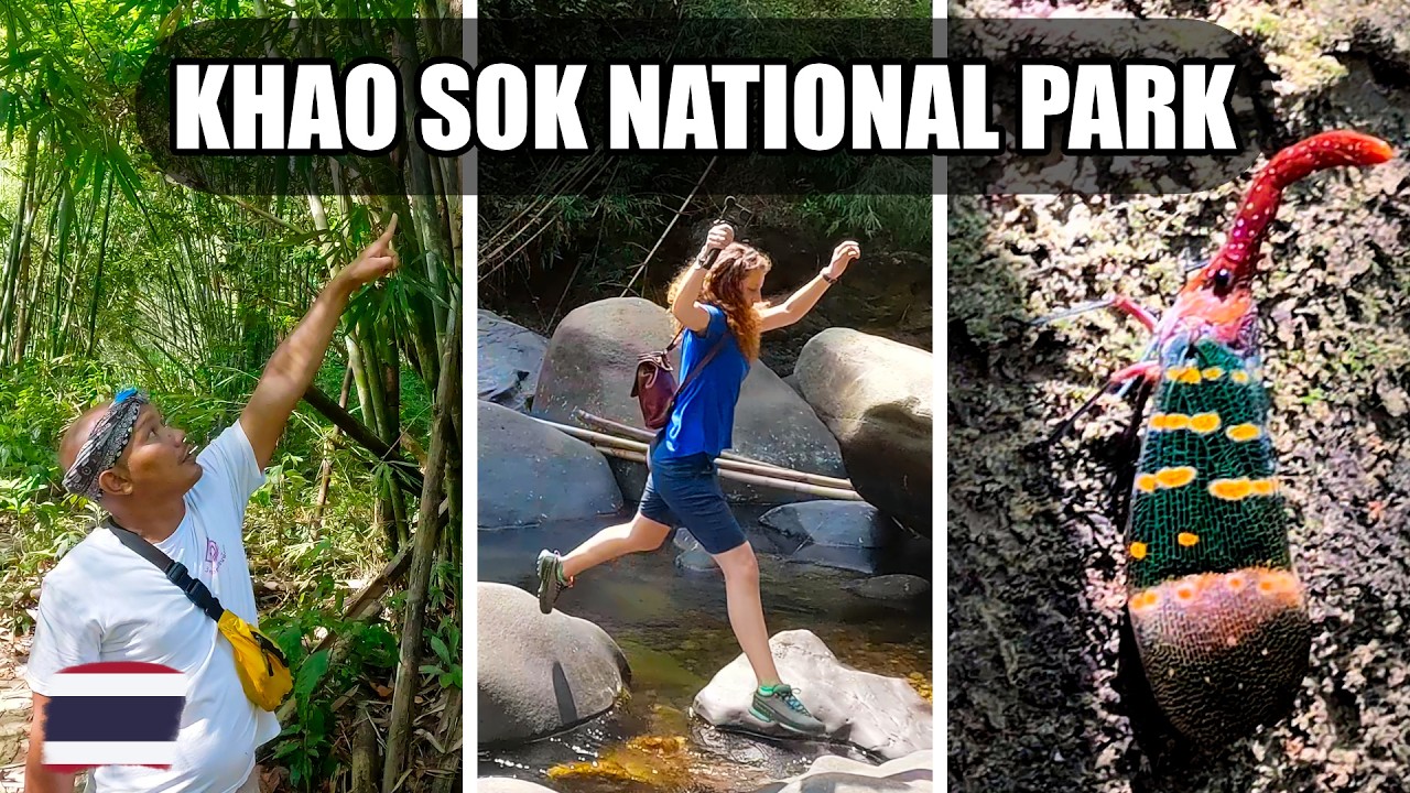 Khao Sok National Park Tour | Guided Hike | Thailand