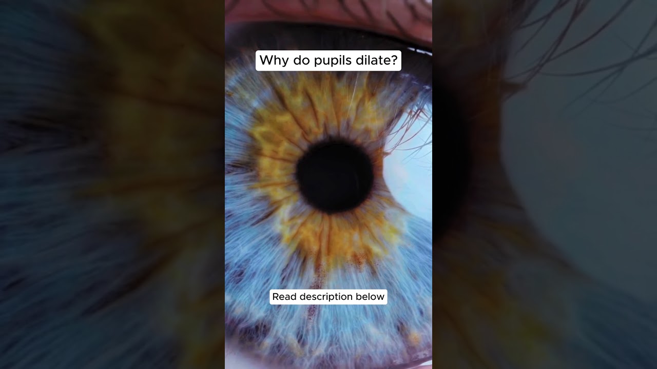 Why do pupils dilate?