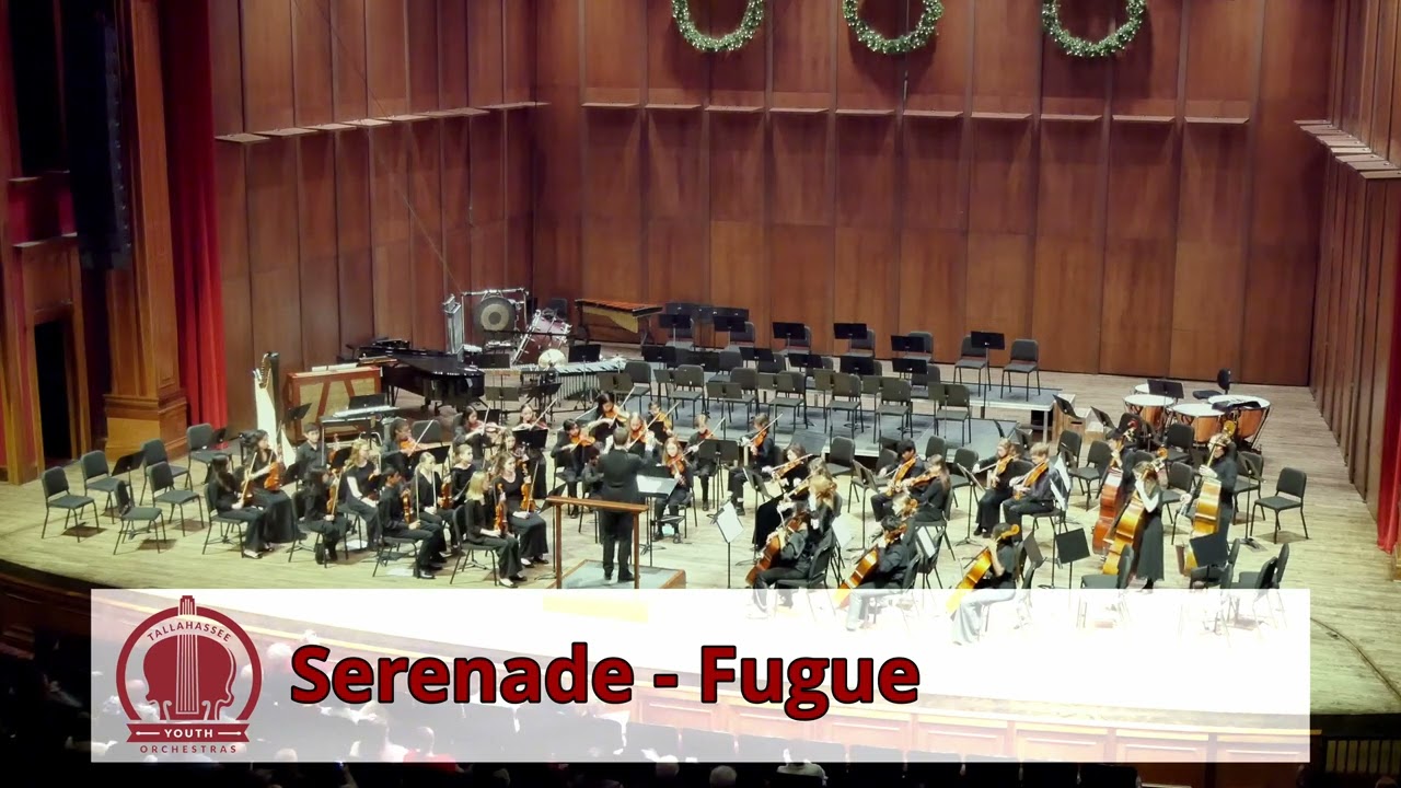 Holiday Concert '24 - Chamber Orchestra