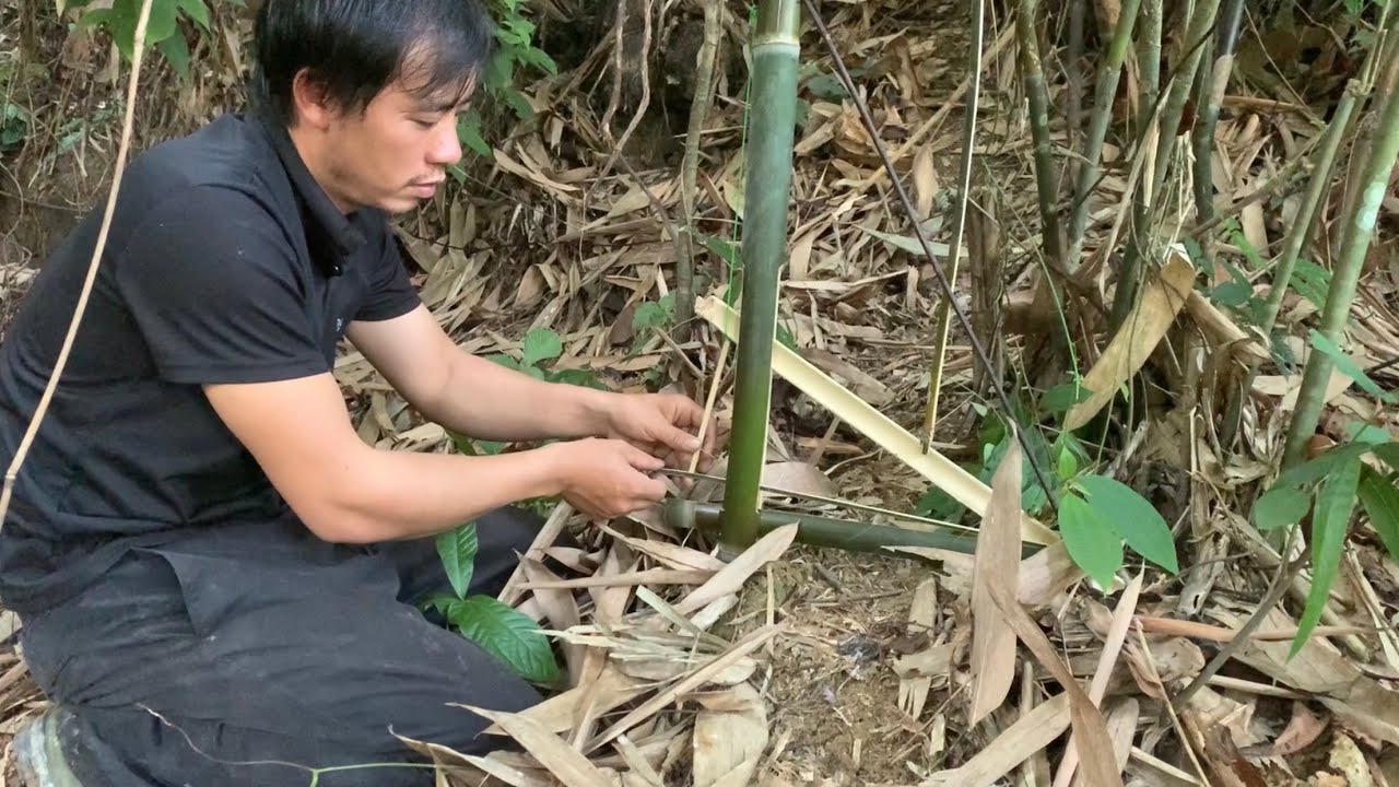 survival in the forest as traps and survival instincts(Ep7)
