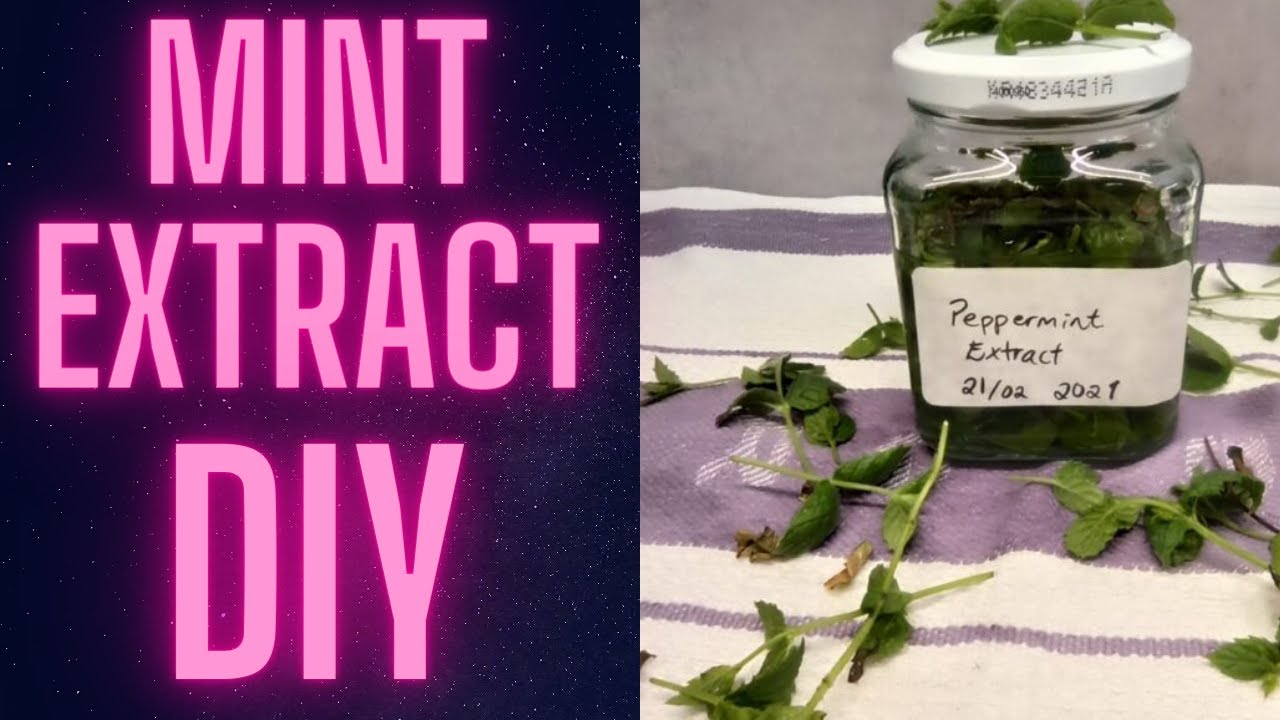 DIY Home made peppermint extract