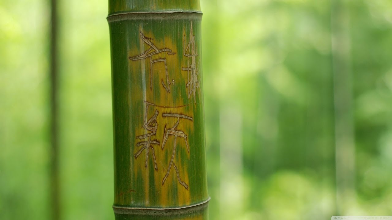 [ FENG SHUI ] Music to Cleanse of Negative Energy at Home Space | HOME IN HARMONY