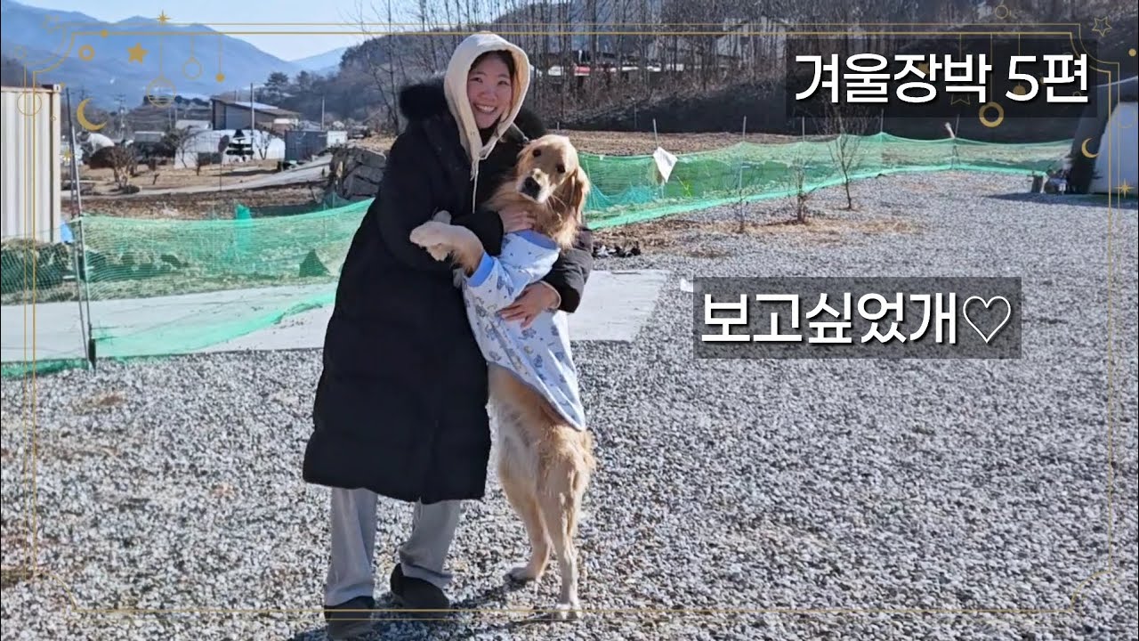 장박5편 리트리버 누룽지와 푸들 나나가 캠핑하며 제일 행복했던 이 순간