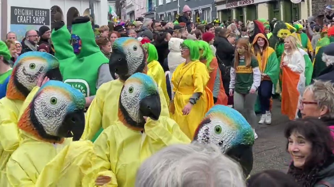 Wren Day in Dingle, Co Kerry, Ireland 26th December 2024