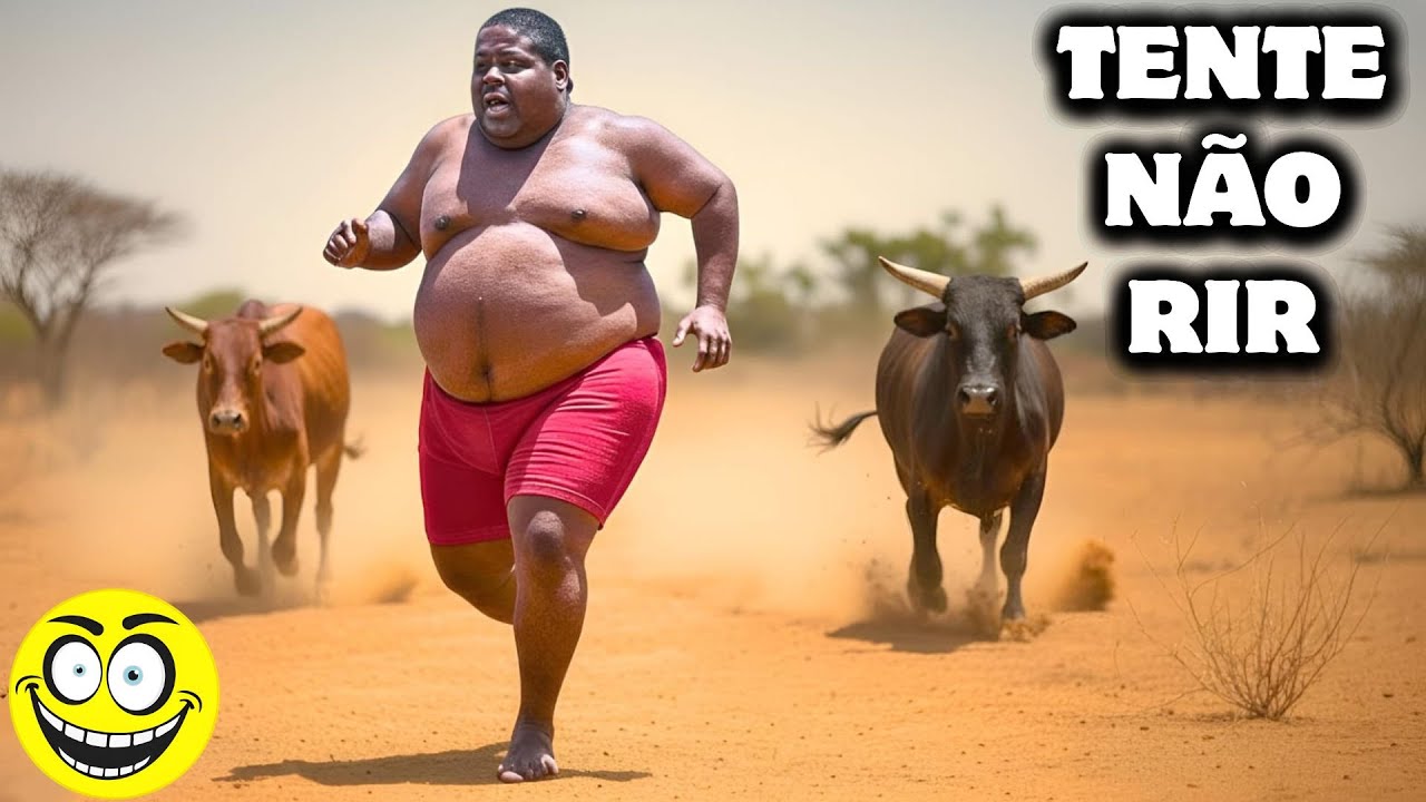 TENTE NÃO RIR - vídeos Engraçados ( DEZEMBRO 2025 ) Ep.4 #comedia #humor