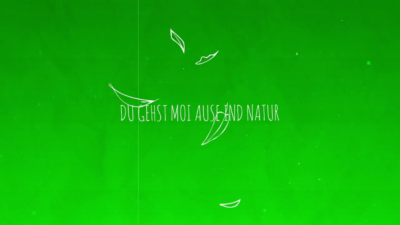 Kickstarter ins neie Lem [LYRIC VIDEO]