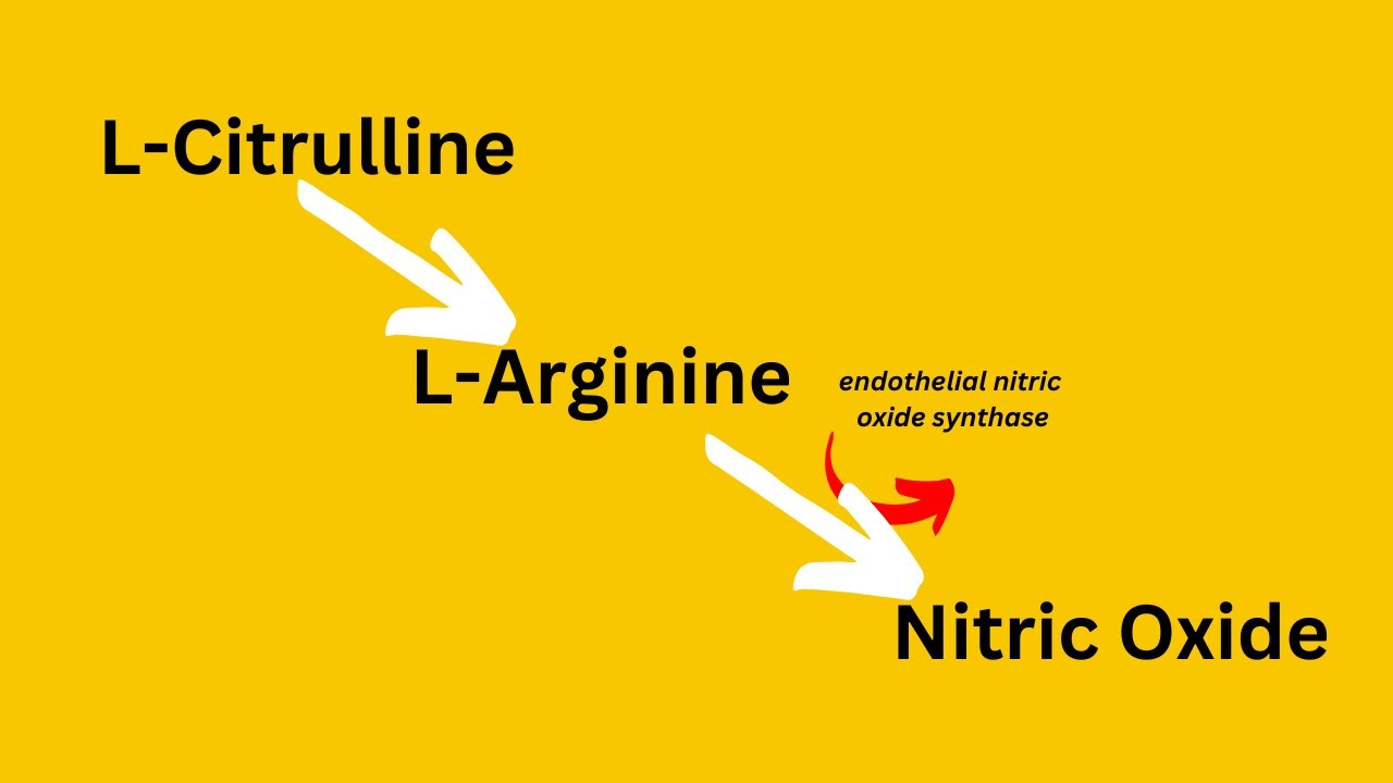 Nobel Prize for Nitric Oxide Changes Healthcare Forever