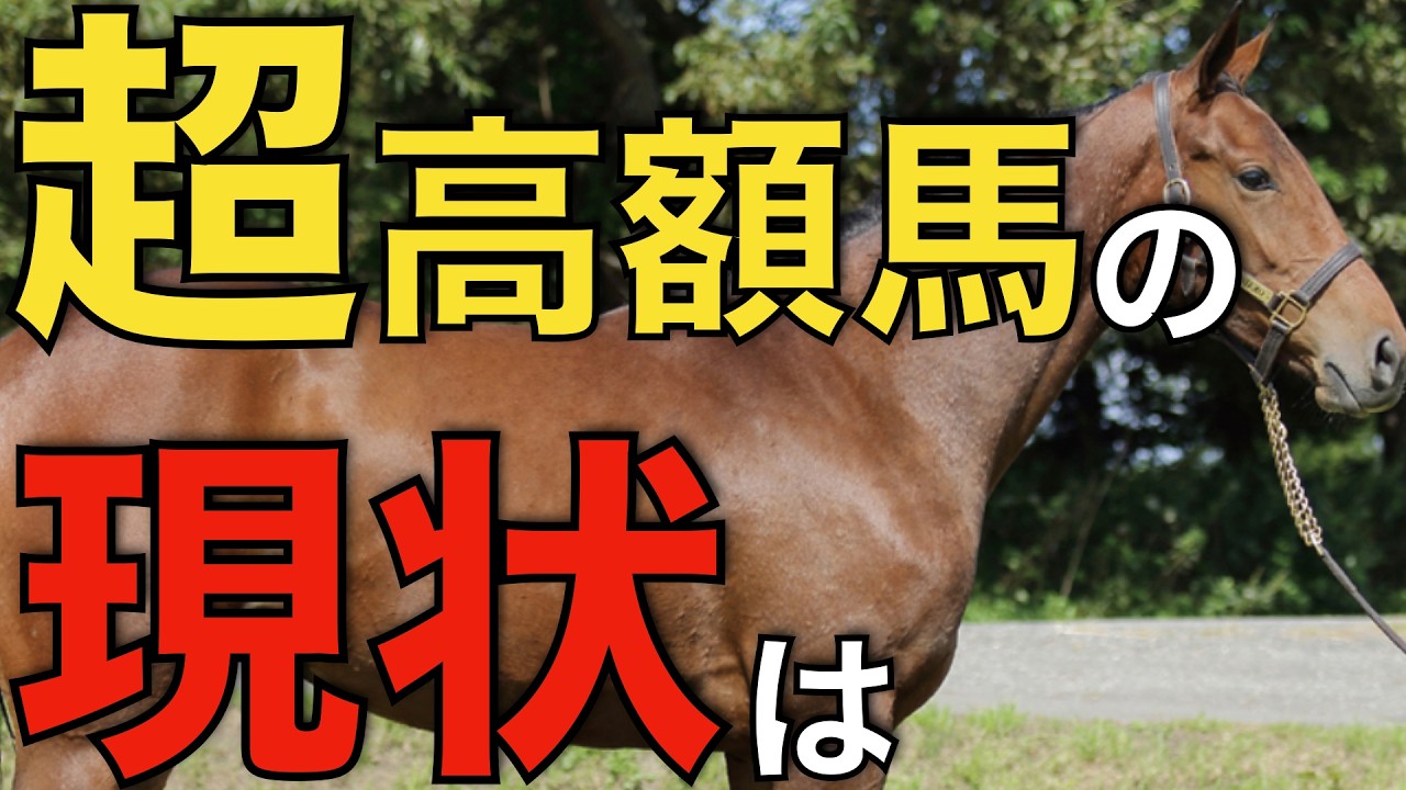 超高額馬の現状を徹底調査！取引価格別の成績で見えた真実。