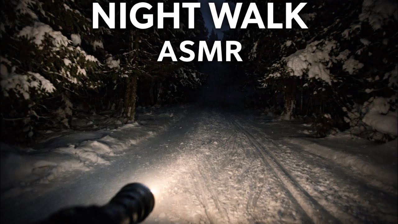 Night Walk in a Snowy Forest (ASMR) | 1 Hour Footsteps & Forest Ambience