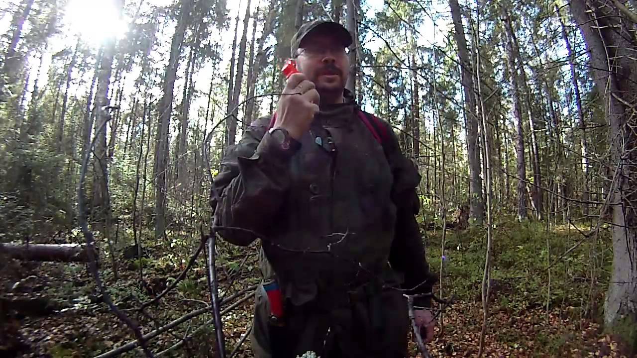 Свисток в лес (выход в лес)