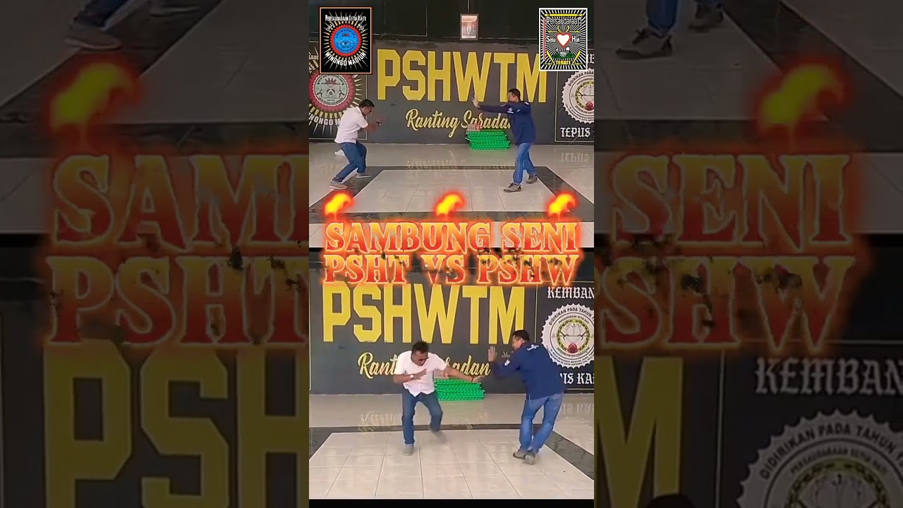 Sambung Seni Pencak Silat PSHT SH TERATE Vs PSHW TM SH WINONGO STK Pusat MADIUN INDONESIA #shorts
