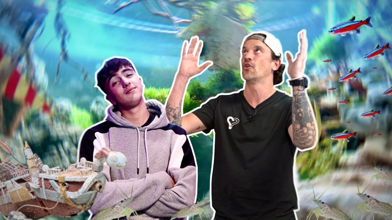 ON MONTE UN AQUARIUM &Agrave; TH&Egrave;ME CHEZ @INOXTAG ! - TOOPET