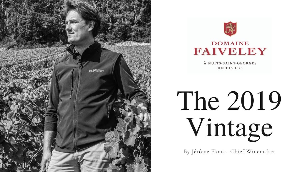 Domaine Faiveley - The 2019 Vintage by Jérôme Flous