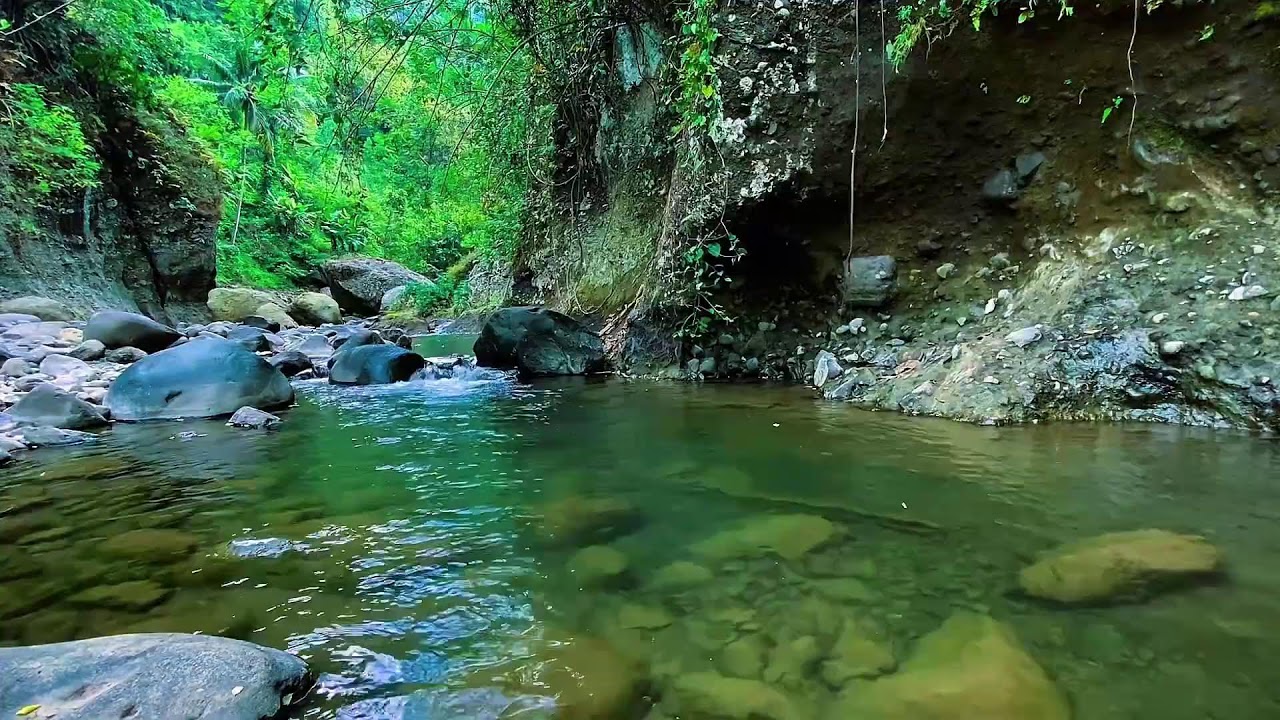 Mountain Stream Water Ambience, Forest River Flow, Sleep