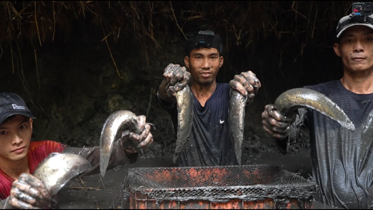 Tát Ao Bắt Cá Rừng U Minh Hạ Tháng Hạn Và Cái Kết Đầy Bất Ngờ