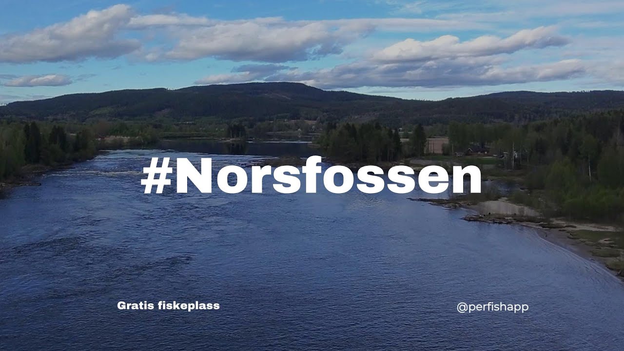 Ettermiddagstur til Norsfossen - Glomma - Kongsvinger | #perfish