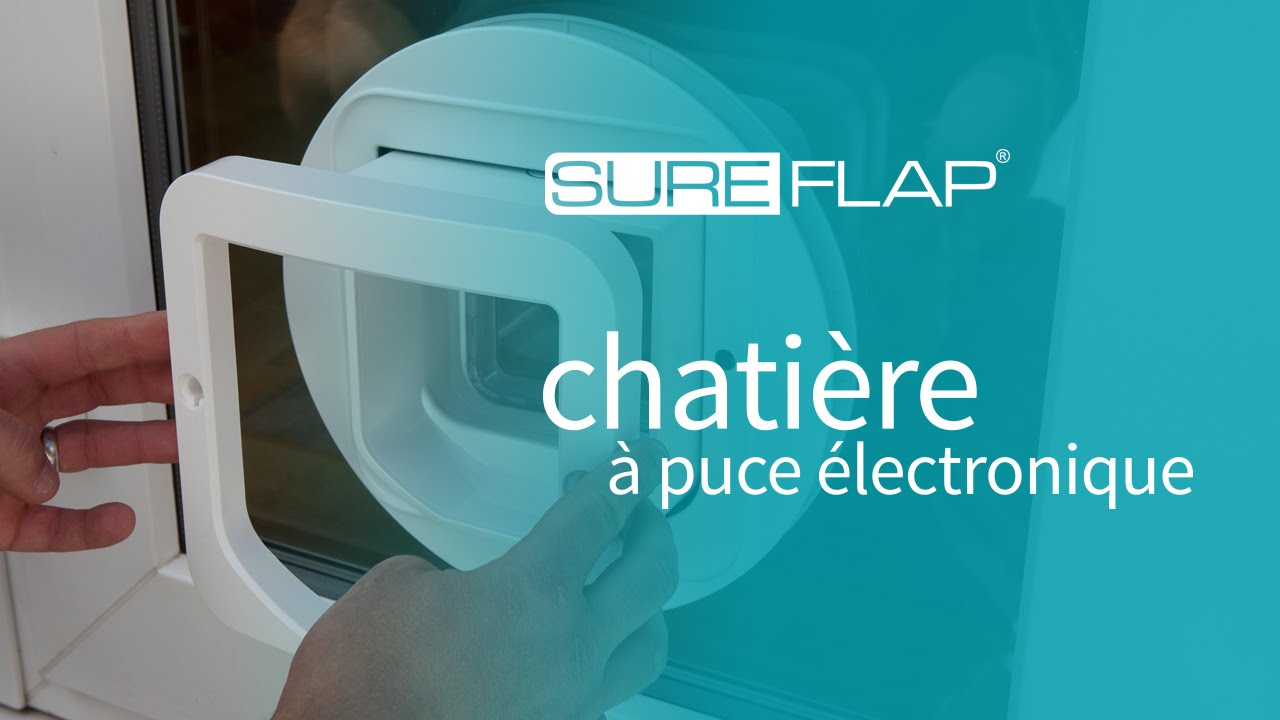 Installation de la chatière SureFlap dans du verre