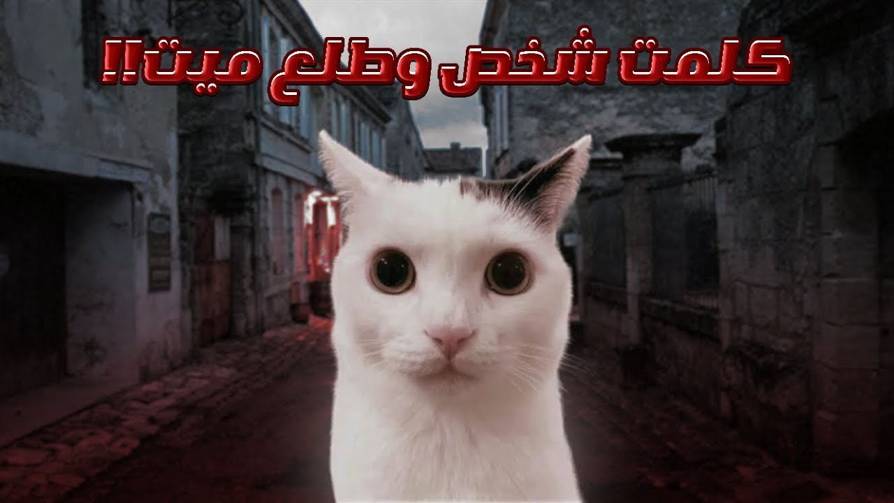 مواقف تفجع عديت بيها وانا صغير جالي ترومبا.!!