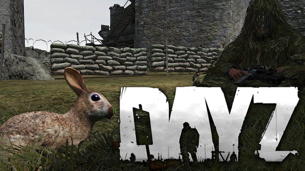 Funniest DayZ Hacker Ever